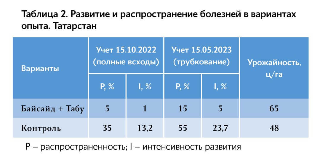 таблица 2 таблица 2