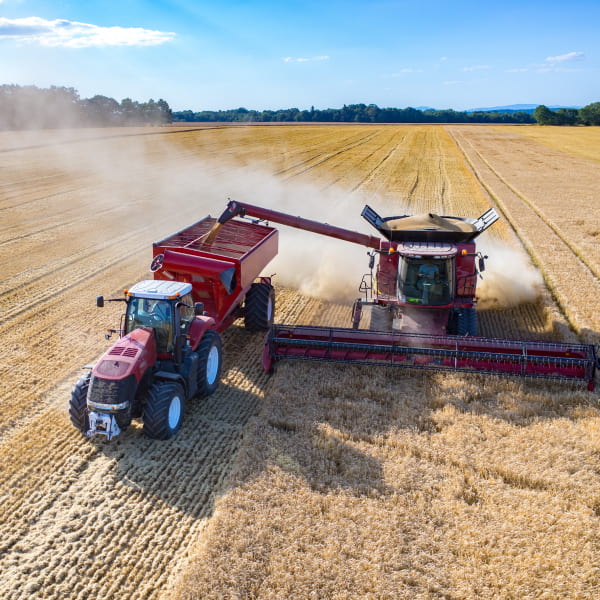 Dala ekinlarining hosildorligini hisoblash