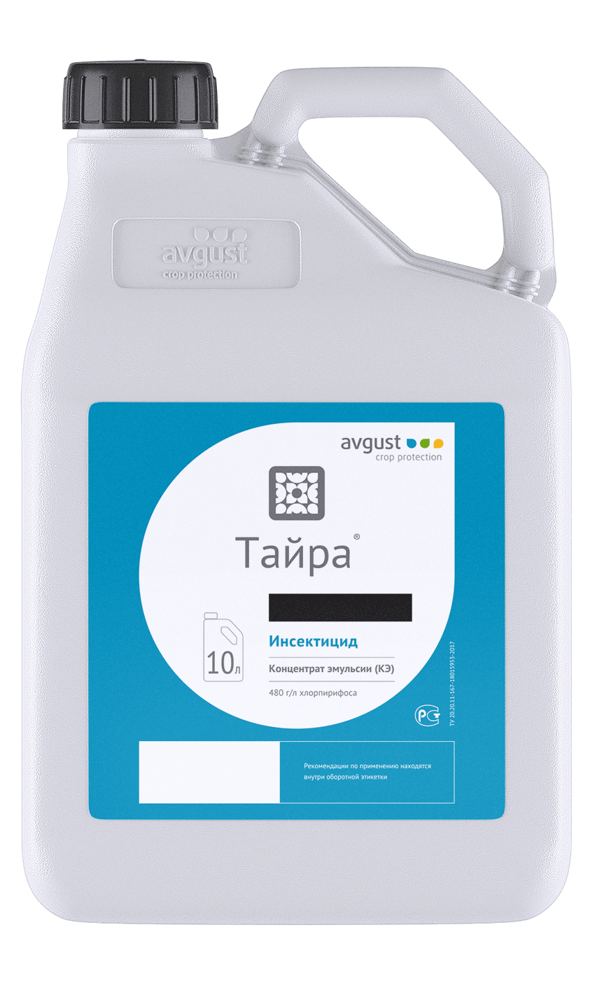 НордСтрим