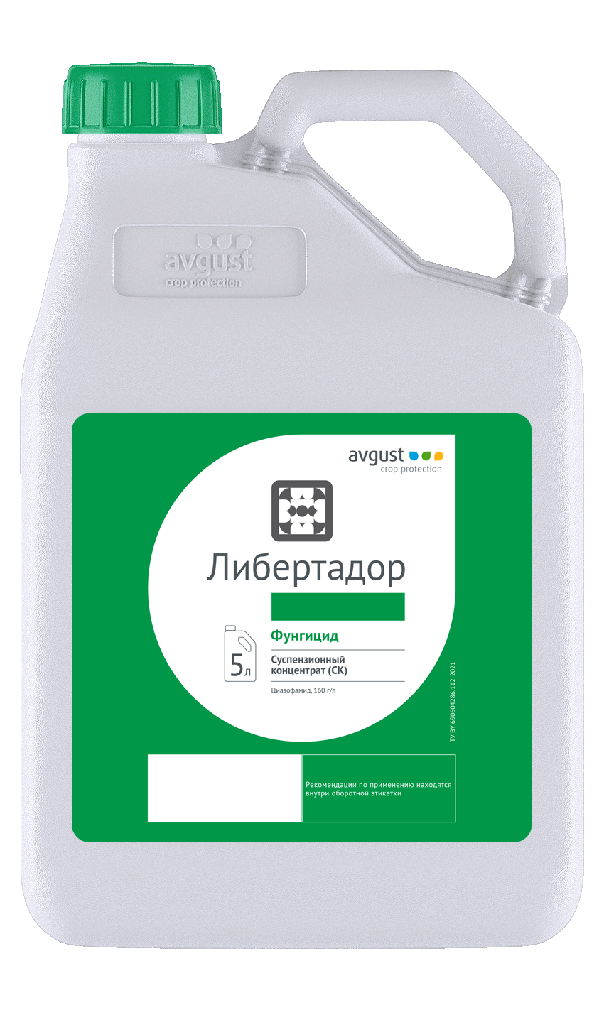 Либертадор